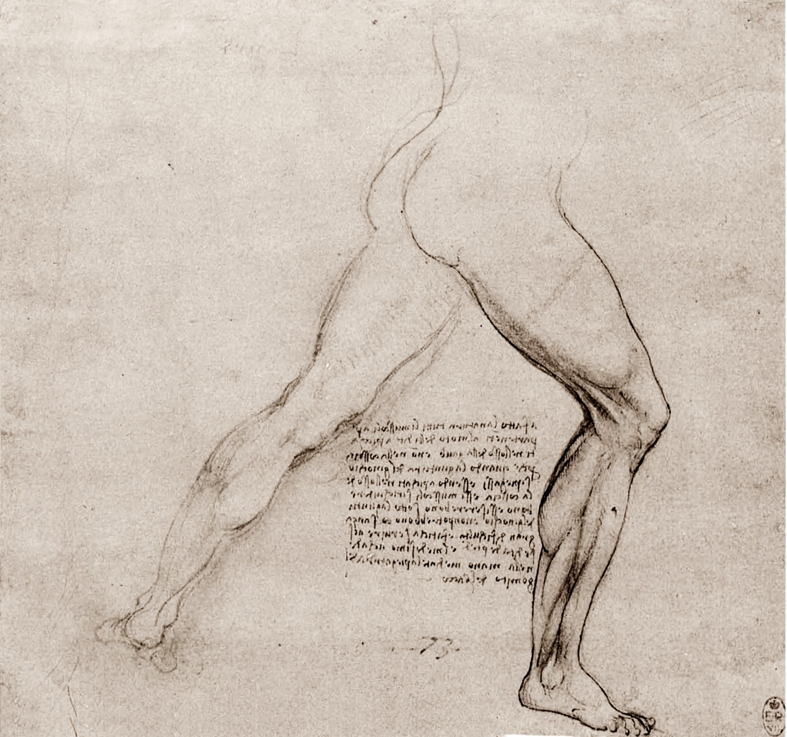 Leonardo+da+Vinci-1452-1519 (742).jpg